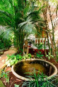 olive hotel alidia beach resort by embassy group