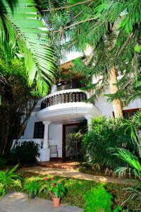 olive hotel alidia beach resort by embassy group