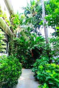 olive hotel alidia beach resort by embassy group