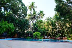 olive hotel alidia beach resort by embassy group