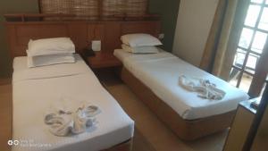 olive hotel alidia beach resort by embassy group