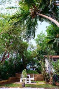 olive hotel alidia beach resort by embassy group