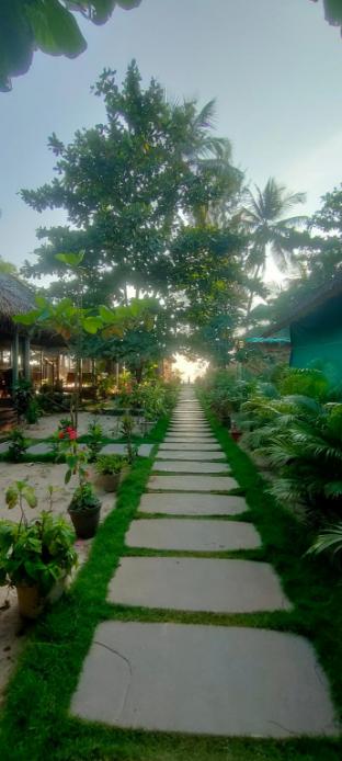 the coast beach resort