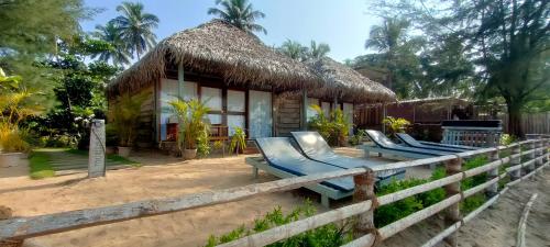 the coast beach resort