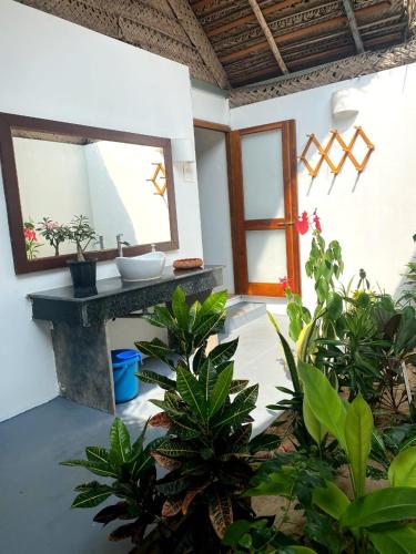 goa