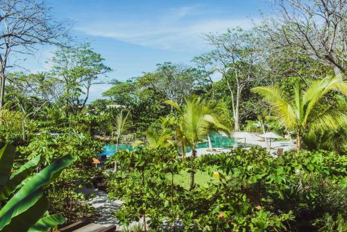 hotel nantipa a tico beach experience