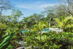 hotel nantipa a tico beach experience