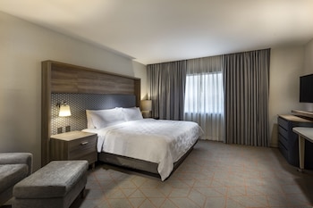 holiday inn and suites aguascalientes an ihg hotel