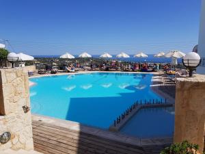 amazones village suites