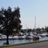 haven marina