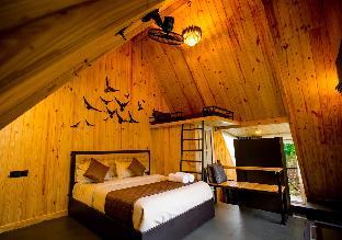 the cove lakkidi by voye homes