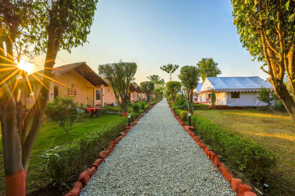 jim corbett ramnagar