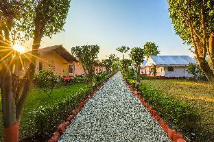 jim corbett ramnagar