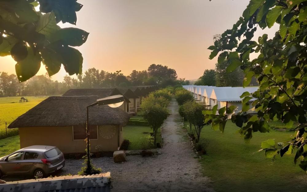 jim corbett ramnagar