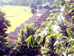 jim corbett ramnagar