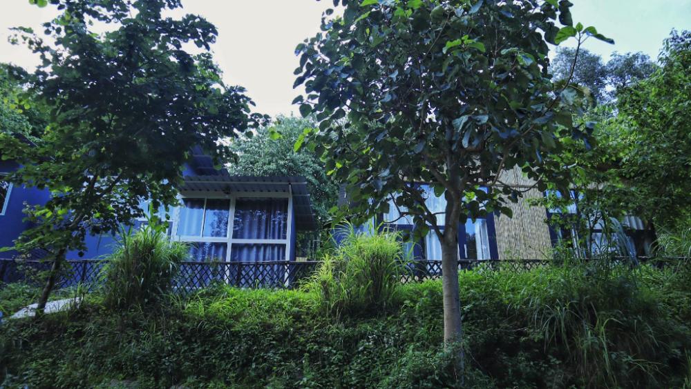 arahnyam pool side cafe and resort