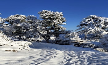 kasana club mussoorie