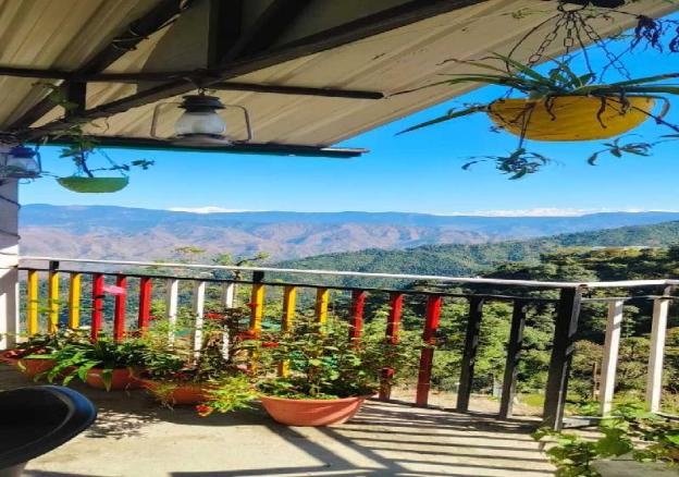 kasana club mussoorie