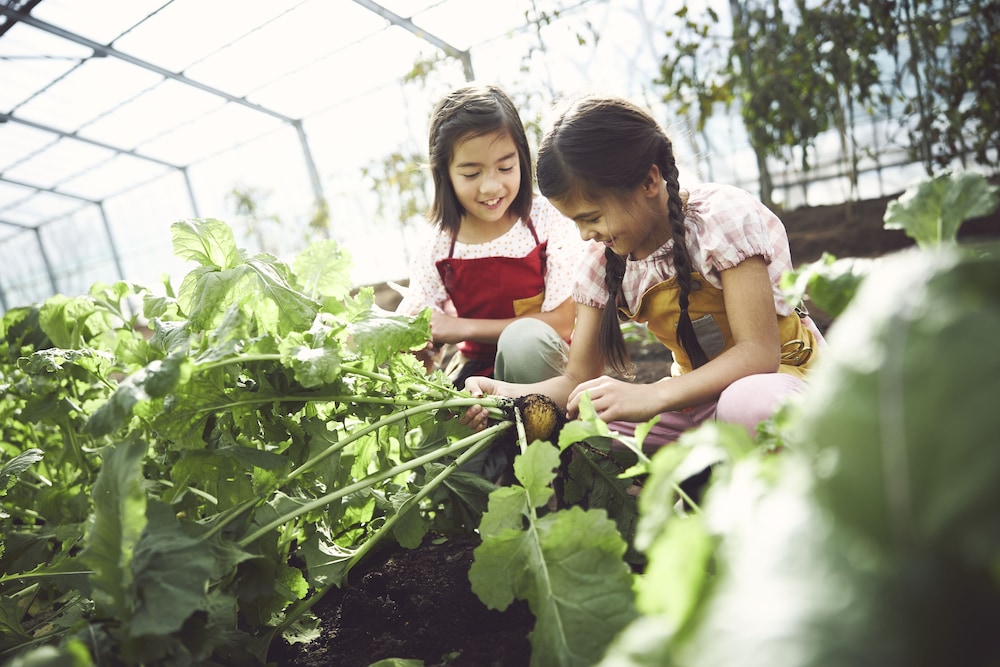 hoshino resorts risonare nasu