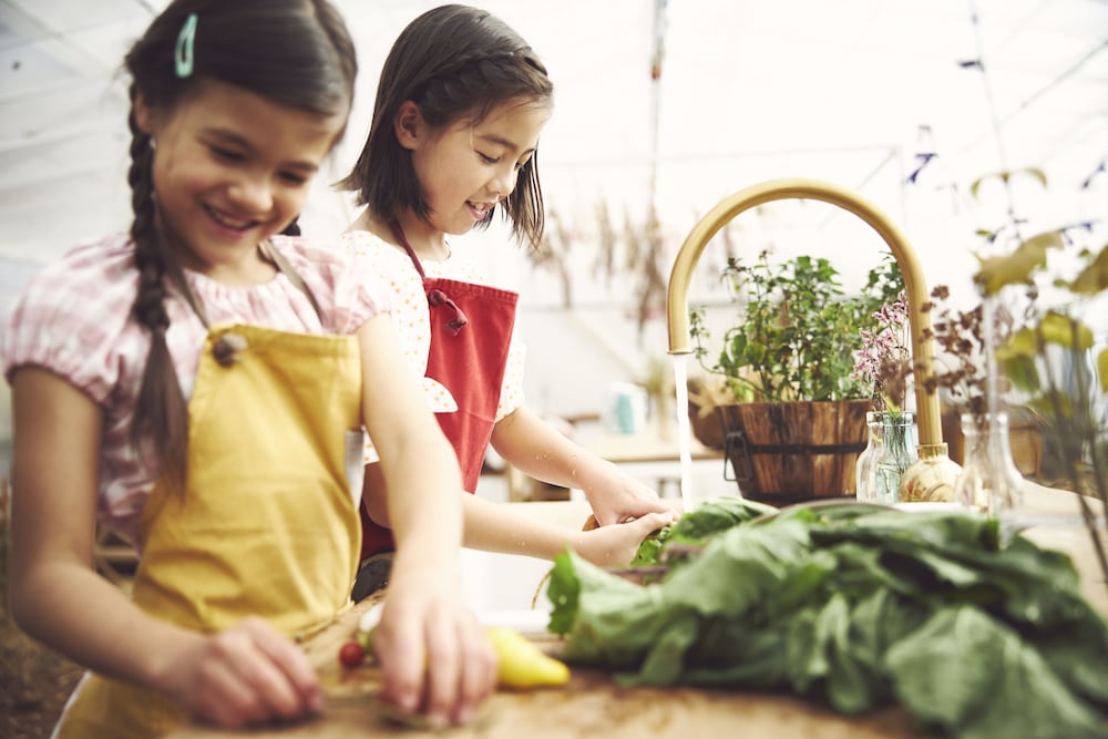 hoshino resorts risonare nasu