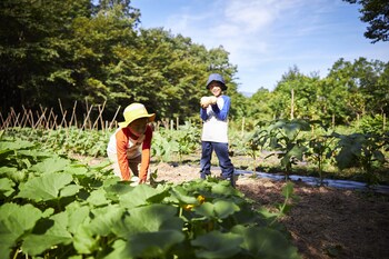 hoshino resorts risonare nasu