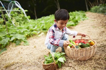 hoshino resorts risonare nasu