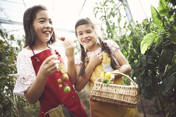 hoshino resorts risonare nasu