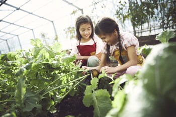 hoshino resorts risonare nasu