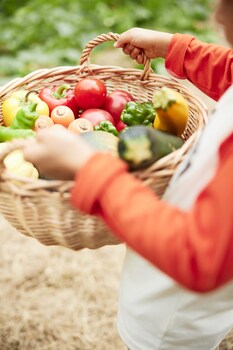 hoshino resorts risonare nasu