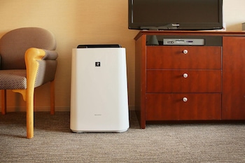 rembrandt hotel ebina