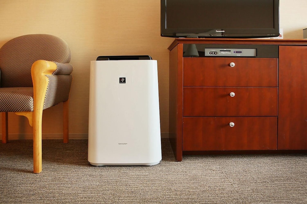 rembrandt hotel ebina