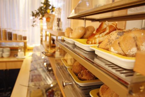 freiburg im breisgau