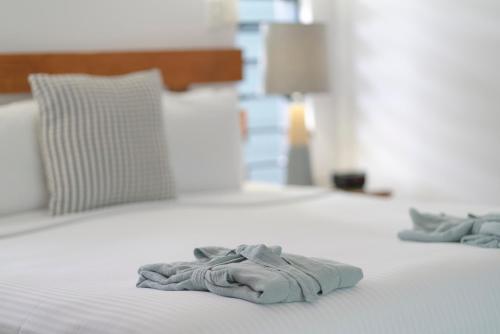 peninsula boutique hotel port douglas adults only haven