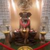 Hotel Golden Plateau,Porvorim>>Goa,4 star