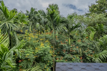 silvanus forest retreat