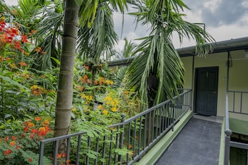 silvanus forest retreat