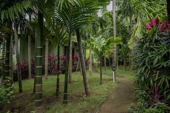 silvanus forest retreat