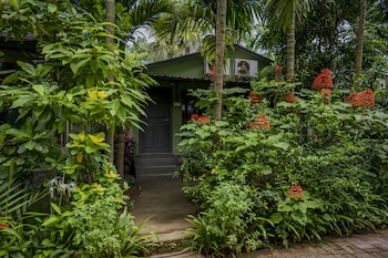 silvanus forest retreat