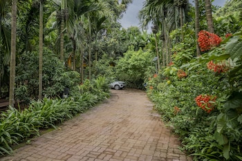silvanus forest retreat