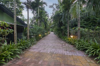 silvanus forest retreat