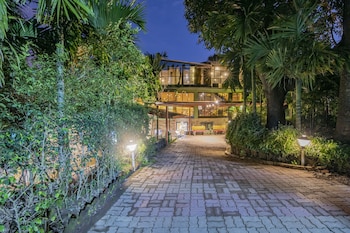 silvanus forest retreat