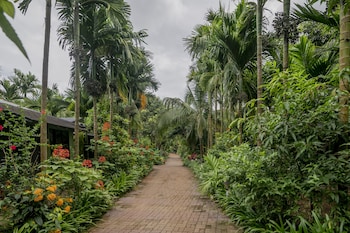 silvanus forest retreat