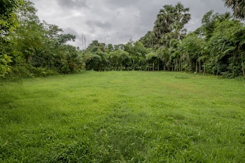 silvanus forest retreat
