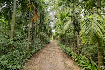 silvanus forest retreat