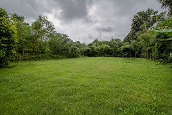 silvanus forest retreat