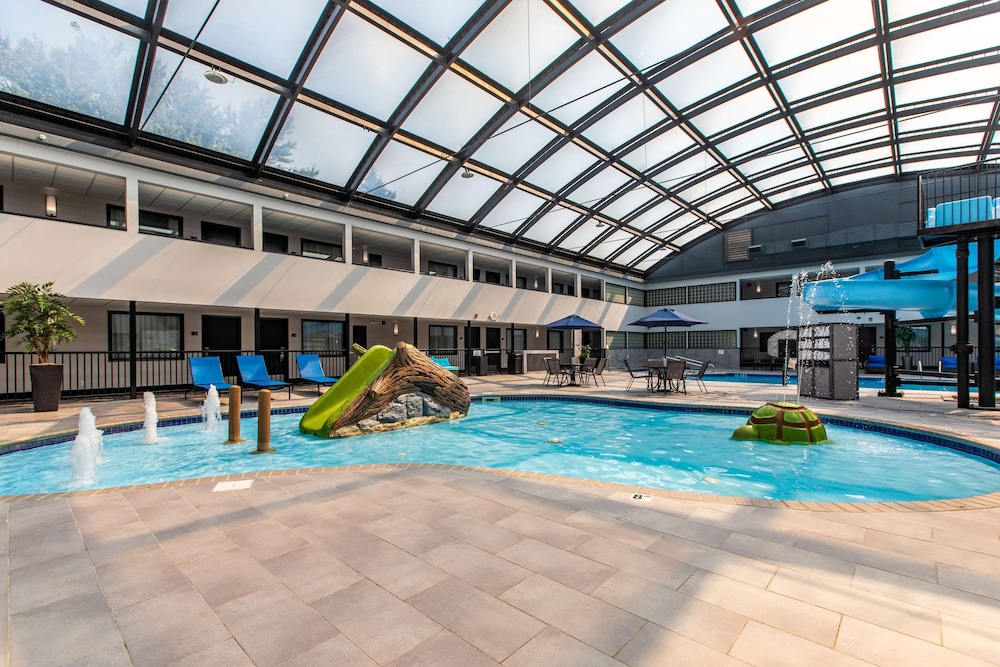 best western rochester hotel mayo clinic area st marys