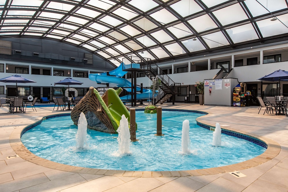 best western rochester hotel mayo clinic area st marys