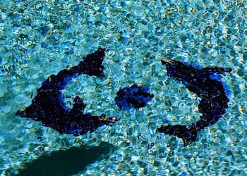 hampton inn dallas rockwall