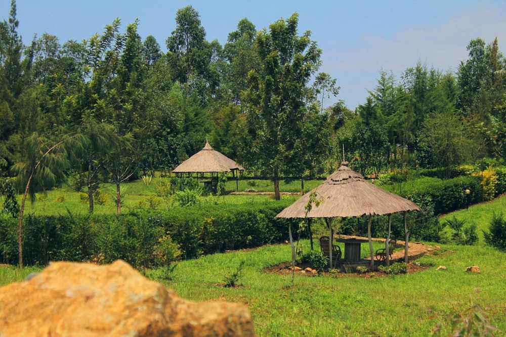 nguge hills lodge and wellness retreat