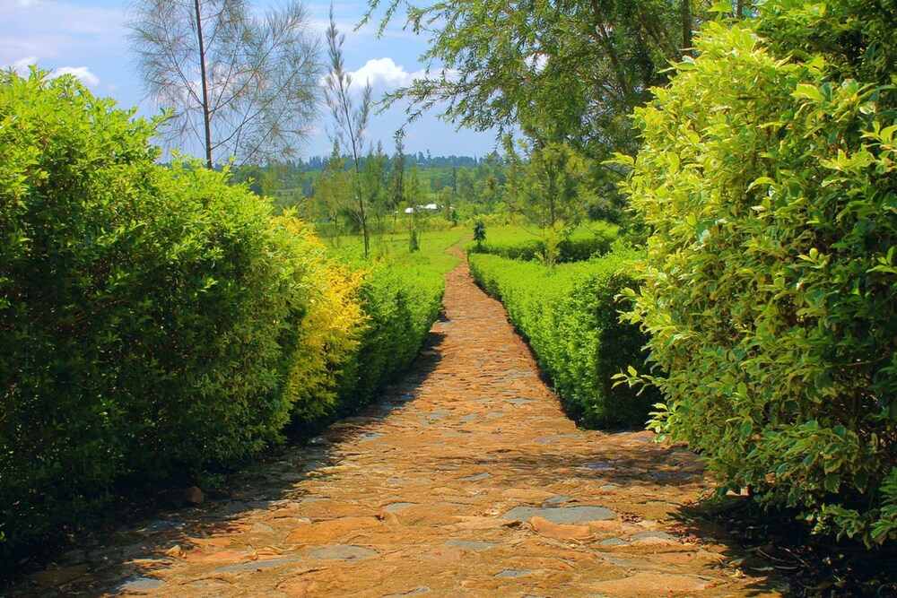 nguge hills lodge and wellness retreat